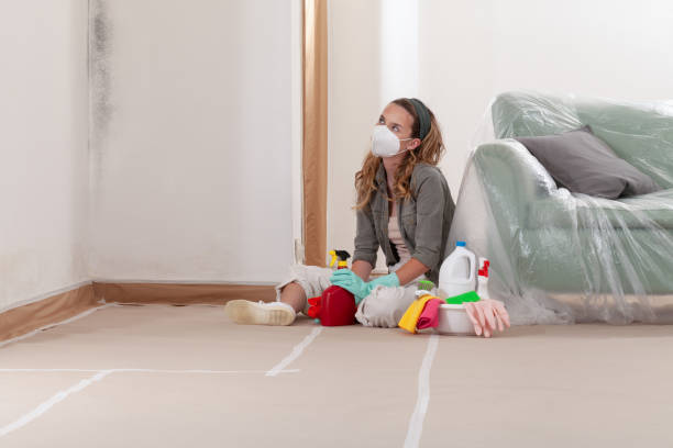 Reliable Basement Mold Remediation contractor in Bunn, NC by 24 Hour Mold Removal